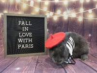 Paris - Photo 1