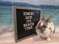 Simon - Photo 1
