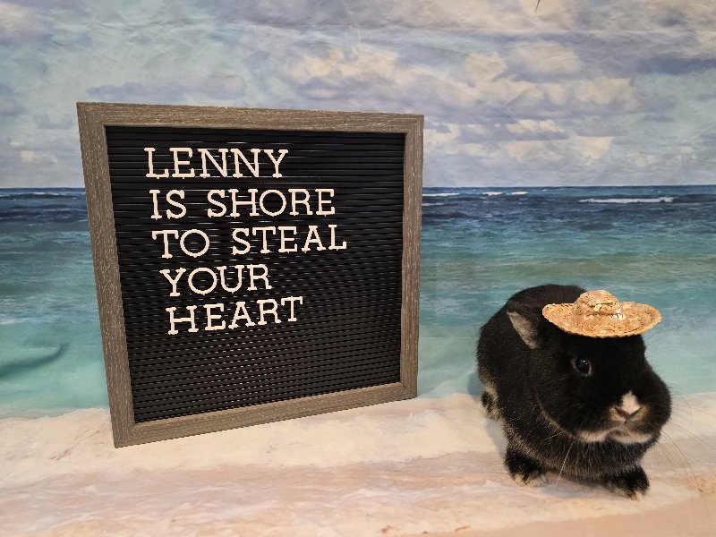 Lenny Image