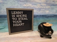 Lenny - Photo 1