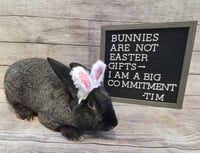 Tim - Photo 2