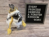 Koko - Photo 1