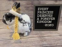 Koko - Photo 2
