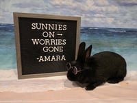 Amara - Photo 1