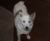 Alma - Photo 2
