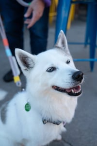 Alma - Photo 3