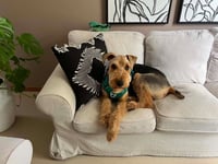 Roy - Photo 5
