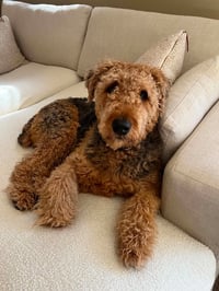 Roy - Photo 4