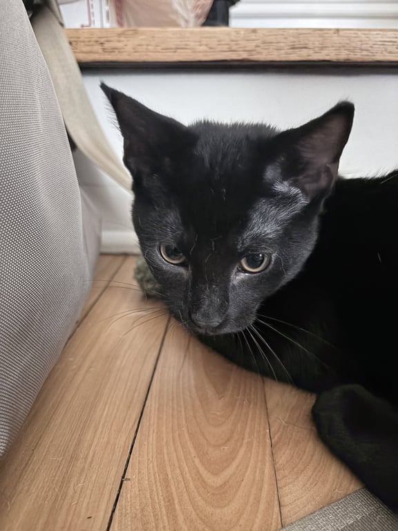 Sleepy Image