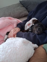 Mack - Photo 5
