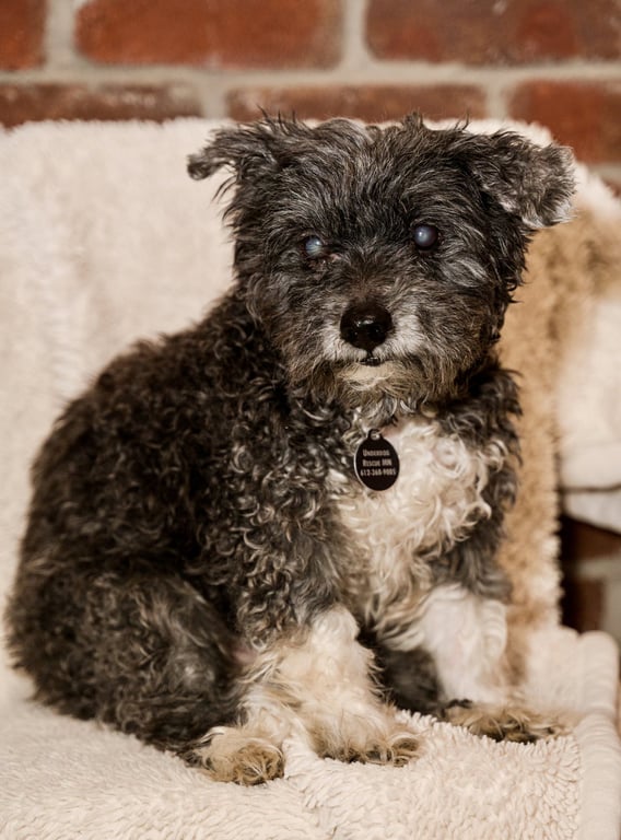 Gary Image