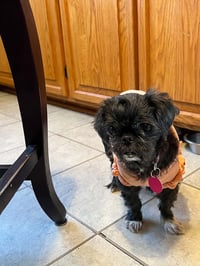 Martha - Photo 3