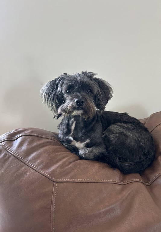 Samantha Image
