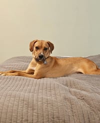 Skittles - Photo 2