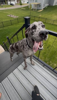 Zeus - Photo 1