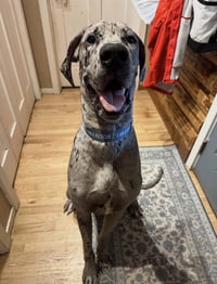 Zeus - Photo 4