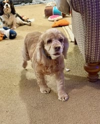 Daisy Duke - Photo 1