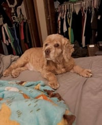 Daisy Duke - Photo 3