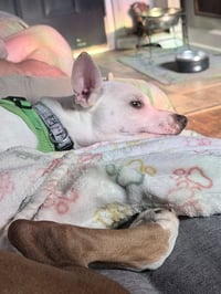 Malcolm - Photo 5