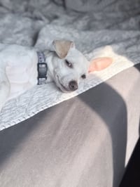 Malcolm - Photo 4
