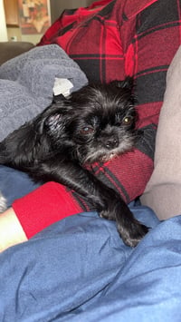 Bessy Boo - Photo 3