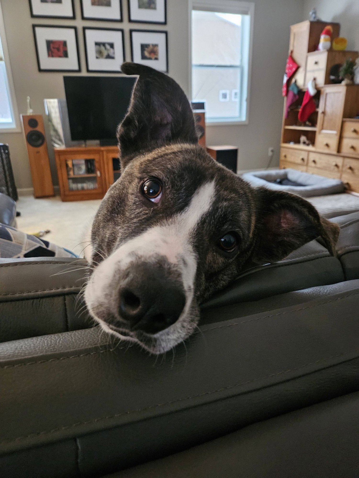 Little Lucky - Photo 5