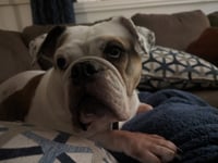 Agatha - Photo 7