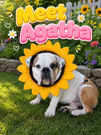 Agatha - Photo 4