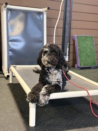 Doug - Photo 7