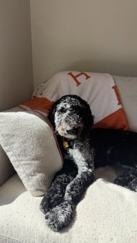 Doug - Photo 3