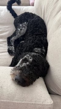 Doug - Photo 5