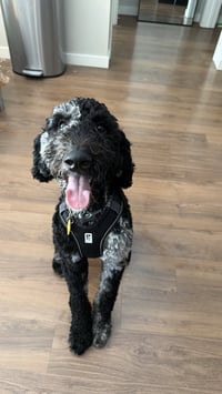 Doug - Photo 2