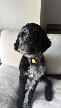 Doug - Photo 4