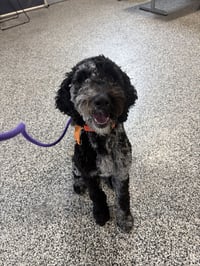 Doug - Photo 8
