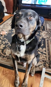 Argo - Photo 2