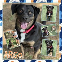 Argo - Photo 3
