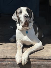 Betty - Photo 4