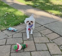 Isabel - Photo 3
