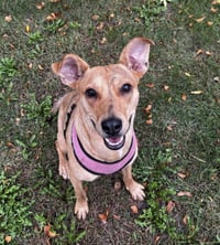 Lillian - Photo 6