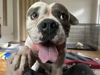 Walter - Photo 3