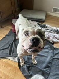 Walter - Photo 4