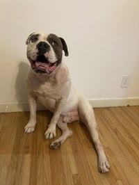 Walter - Photo 1