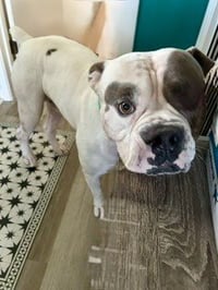Walter - Photo 2