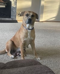 Star - Photo 9