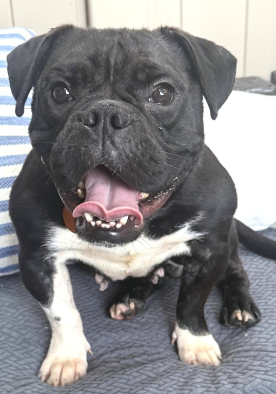 Sammie Image