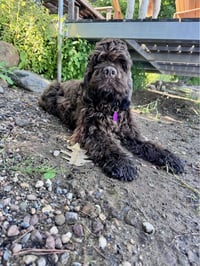 Quiggley - Photo 2