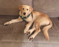 Fred - Photo 1