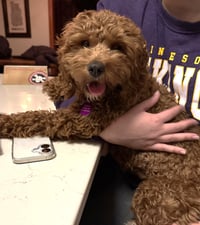 Nala - Photo 4