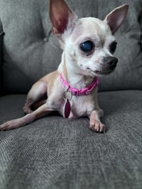 Marge - Photo 2