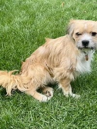 Frankie - Photo 4